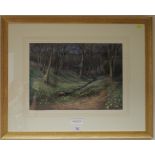 M. Carpenter 'The Valley Gardens' Virginia Water, Surrey Pastel 33.5cm x 47cm