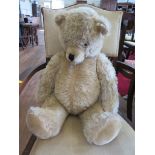 A large teddy bear, with growler 65cm long