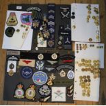 A collection of Royal Navy, and Royal Marine buttons, Royal Flying Corps Cap badges and various