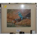 Bruce Henry Kingfisher with a catch Gouache, signed 16.5cm x 22cm Mall Galleries label verso -