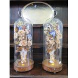 A pair of Edwardian fabric floral displays with gilt vases under glass domes and inlaid circular