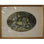 A. Connelly Primroses and violets watercolour, signed and dated 1915, 25cm x 36.5cm