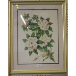 Viola Peacock 'Rhododendrons' Watercolour Signed and dated 1980 The Mall Galleries label verso 52.