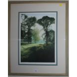 Mark Spain Early Morning coloured etching 99/200 signed pencil in margin 47cm x 34.5cm