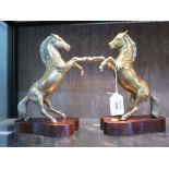 A pair of brass rearing horse book ends, 23cm high