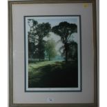 Mark Spain Early Morning Coloured etching Signed and numbered in pencil 99/200. 47cm x 34.5cm