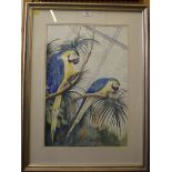 Jean Williams Study of two macaws Watercolour Signed 55cm x 37.5cm