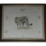 Stephen Gayford 'The Hunter' study of a cheetah Signed limited edition etching 192/550 in margin