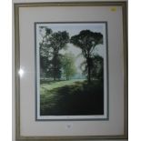 Mark Spain Lakeside coloured etching signed and numbered in pencil 97/200. 34.5cm x 46cm together