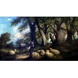 A 19TH CENTURY WOODLAND SCENE with sheep and a donkey, oil on canvas, 34cm x 60cm and mounted in a