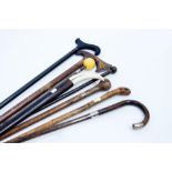 A COLLECTION OF VARIOUS WALKING STICKS one set with a tusk, the others with white metal mounts