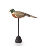 A PAINTED MODEL OF A WOOD PIGEON 37cm long x 44.5cm high