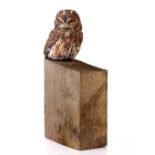 SIMON GRIFFITHS (21ST CENTURY SCHOOL) 'Resting Owl', ceramic and oak, 38cm wide x 60cm high