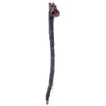 AN UNUSUAL WALKING STICK of naturalistic form, the top carved with a grotesque mask and applied with