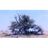 A PENCIL SIGNED PRINT by David Shepard of Arabian Oryx, 45cm x 76cm together with an oval gilt