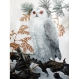 JACK COUTU A snowy Owl, coloured engraving, signed and dated 1973, 63cm x 47cm