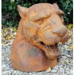 A CAST IRON LIFE LIKE SIZE SCULPTURE of the head of a puma, 40cm high