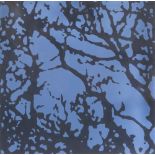 DIANE HOWSE (LATE 20TH / EARLY 21ST CENTURY ENGLISH SCHOOL) 'Oak (blue grey) 1', unsigned, acrylic