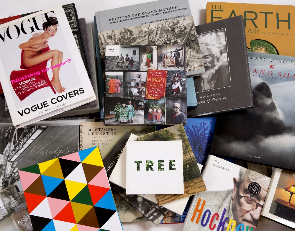 A COLLECTION OF VARIOUS ART BOOKS covering various artists to include David Hockney and Lucien