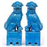 A PAIR OF BLUE GLAZED ORIENTAL POTTERY DOGS OF FO each on a rectangular plinth base 40.5cm high (