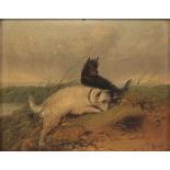 J LANGLOIS (1855 - 1904) a pair of paintings depicting hunting terriers, oils on board, signed lower