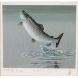 TIM HAVERS four framed prints: 'The Sea Trout', 'The Brown Trout', 'The Salmon' and 'The Rainbow