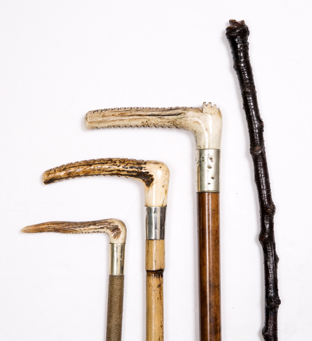 A SMALL GROUP OF RIDING CROPS and a walking stick