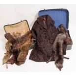 A COLLECTION OF FOX COLLARS and a fur coat