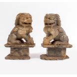 A PAIR OF LATE 19TH / EARLY 20TH CENTURY CHINESE SOAPSTONE DOGS OF FO 18cm high