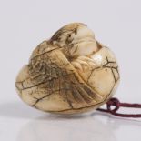 A Japanese ivory netsuke of a Tengu early 20th Century hatching from its egg