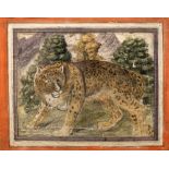 A Qajar painting of a tiger watercolours, 24cm x 20cm and another showing soldiers and domestic