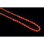 TWO CORAL BEAD NECKLACES, comprising a graduated single strand coral corallium rubrum bead necklace,