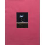 Craigie Aitchison (1926-2009) 'Wayney going to Heaven Pink', 1989 screenprint 63cm x 47cm.