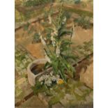 Beryl Sinclair (1901-1967) Garden plant signed (lower right) oils on canvas 55cm x 40cm.