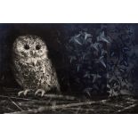 Jack Coutu (b.1924) 'Owl and Ivy', 1960 9/50, signed, dated, titled and inscribed in pencil (in