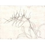Elizabeth Blackadder (b.1931) Brassia Gireoudeana 9/10. signed and numbered in pencil (in the
