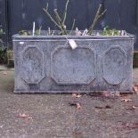 A rectangular lead planter, planted with a yellow climbing rose,