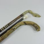 An early 20th century walking stick with an ivory handle,