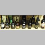 A collection of fourteen various bottles of port and sherry,