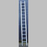 An extending aluminium ladder,