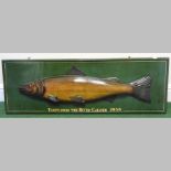 A painted wooden relief plaque of a fish,