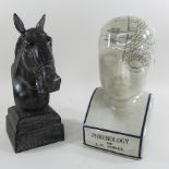 A metal model of a horse's head, together with a pottery model of a phrenology head,