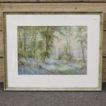 Findley, 20th century, bluebells, watercolour,