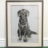 Susan Maud, pastel of a retriever, signed and dated '90 lower right,