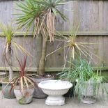 A collection of garden pots,