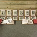 A collection of twelve framed engravings of nudes,