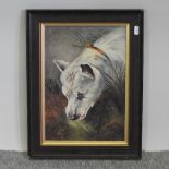 Mabel A Jackson, study of a bull terrier, oil on canvas, signed and inscribed verso,