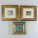 Anthony Pates, 20th century, miniature of a dragonfly, signed watercolour, 7 x 8cm,