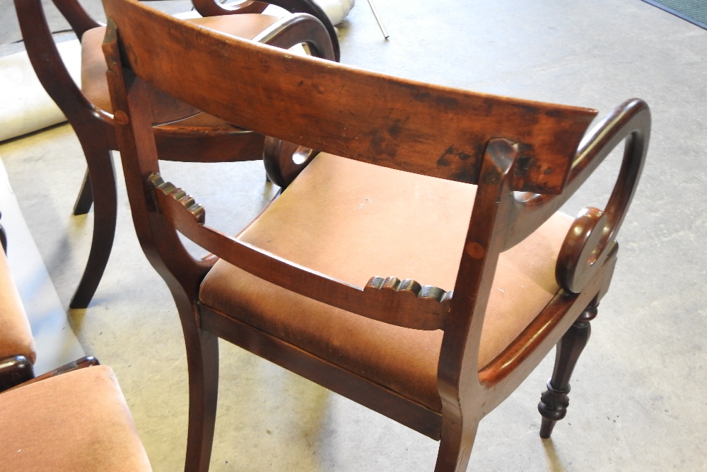 A set of eight William IV carved mahogany dining chairs, each having a bar back and drop in seat, - Image 3 of 7