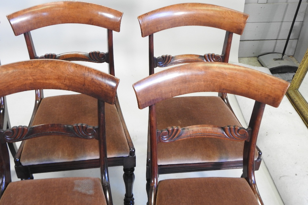 A set of eight William IV carved mahogany dining chairs, each having a bar back and drop in seat, - Image 7 of 7